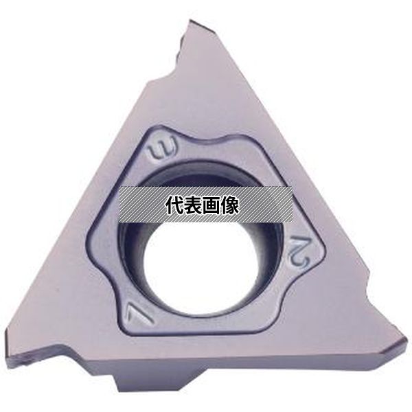 緑であること活動の領域