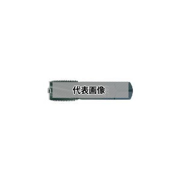オーエスジー（株） 管用テーパタップ EX-SUS-S-TPT HSE 2 PT1/4-19