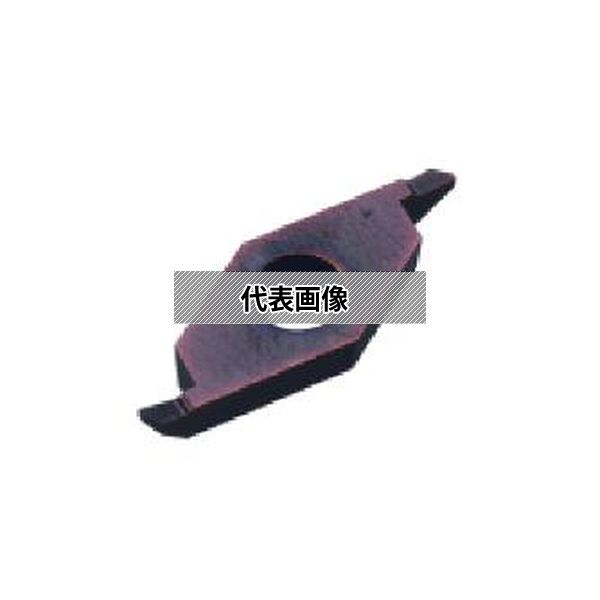 緑であること活動の領域