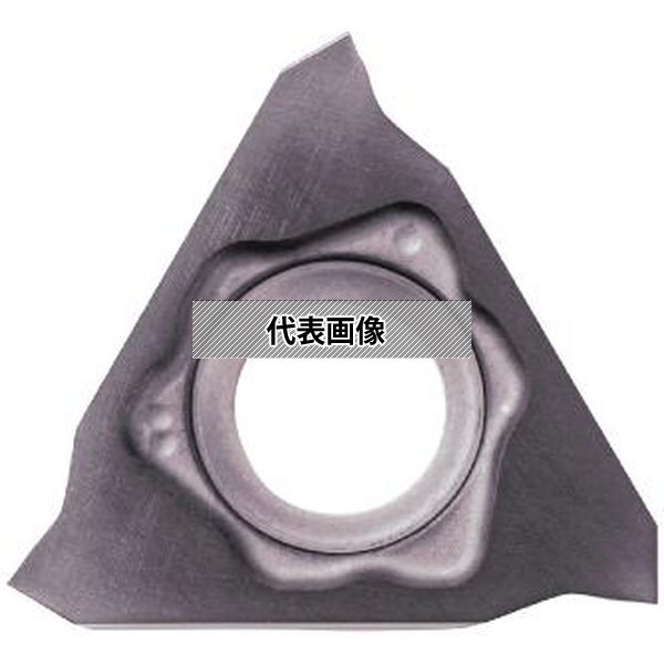 緑であること活動の領域