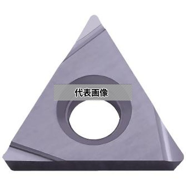 緑であること活動の領域