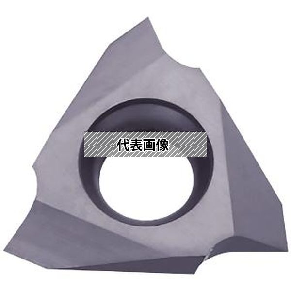 緑であること活動の領域