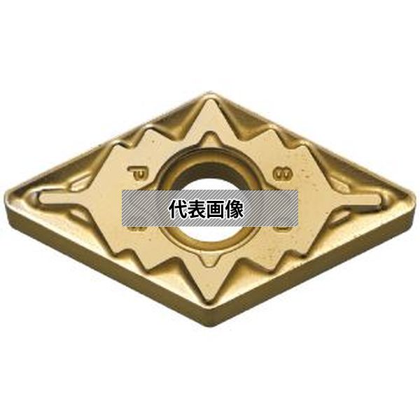緑であること活動の領域
