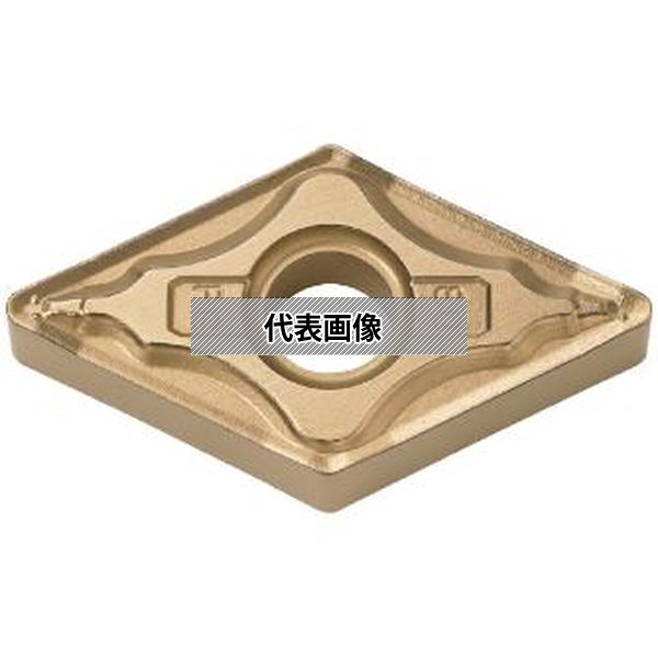 緑であること活動の領域
