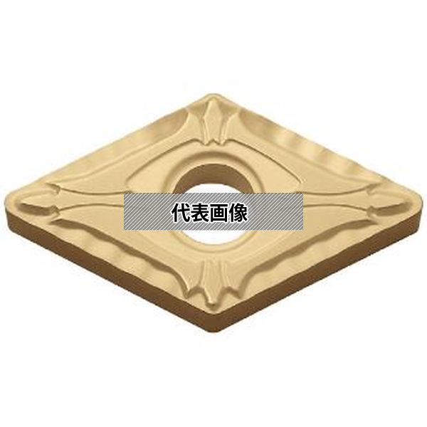 緑であること活動の領域