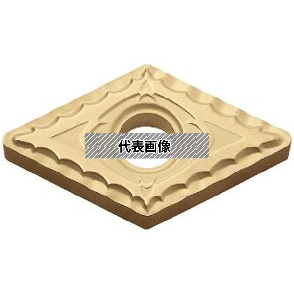 緑であること活動の領域