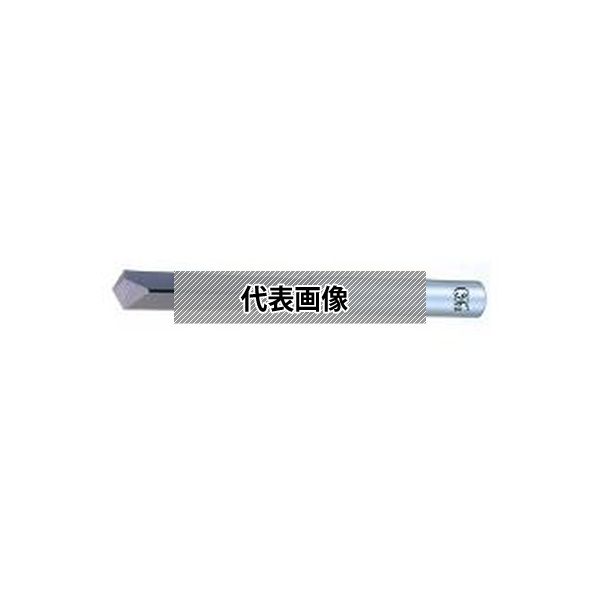 緑であること活動の領域