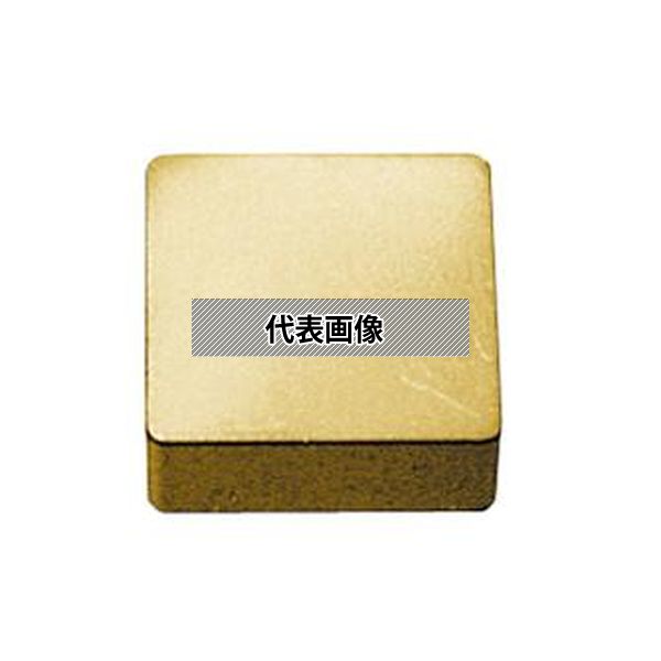 緑であること活動の領域