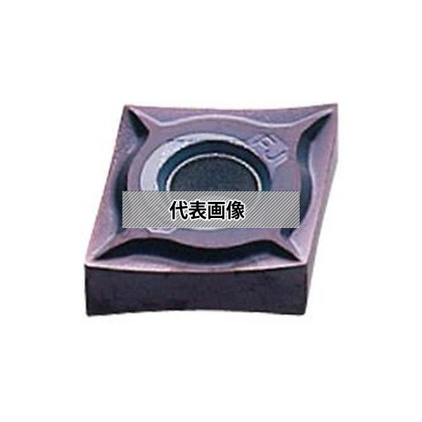 緑であること活動の領域