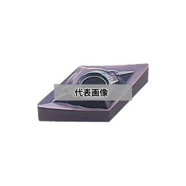 緑であること活動の領域