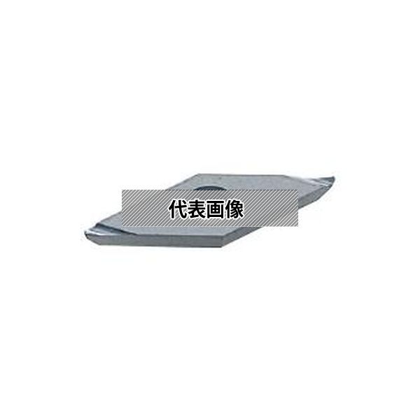 緑であること活動の領域