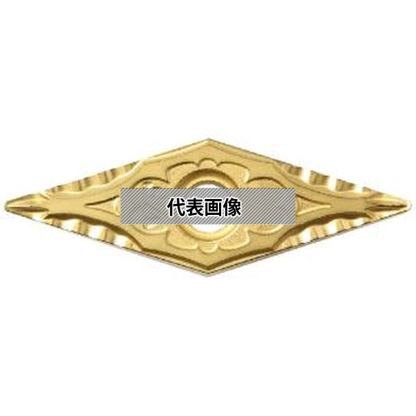 緑であること活動の領域 その他-花・ガーデン・DIY