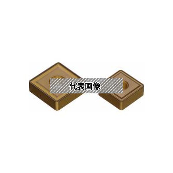 緑であること活動の領域