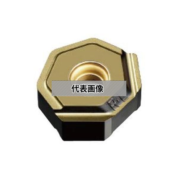 緑であること活動の領域