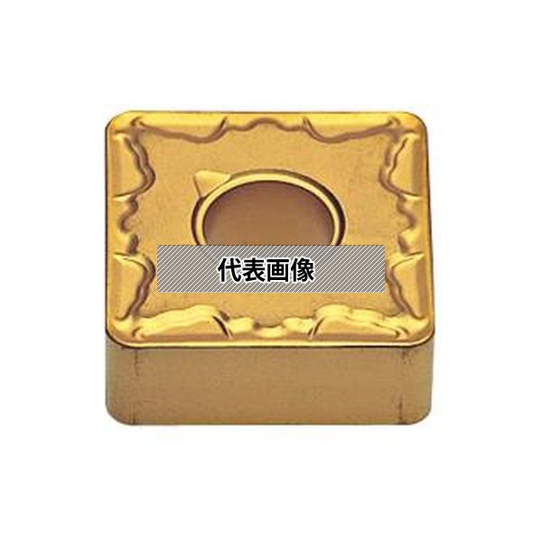 緑であること活動の領域