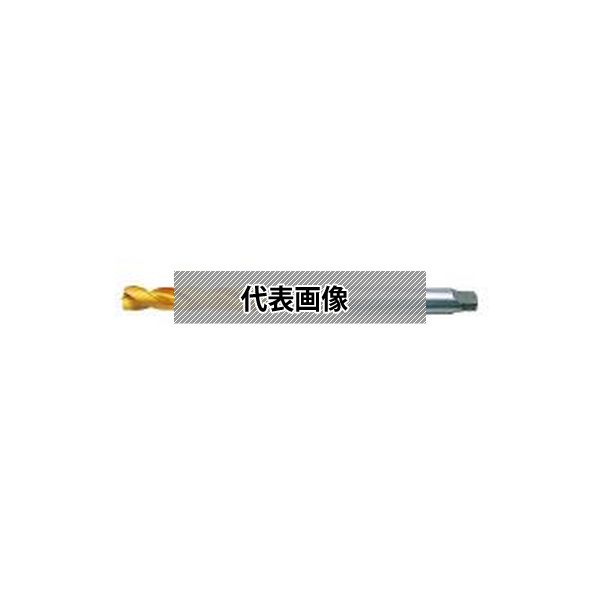 緑であること活動の領域