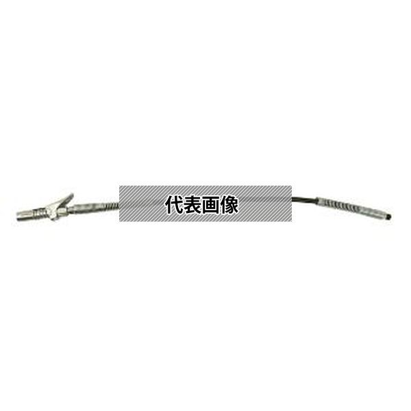 緑であること活動の領域