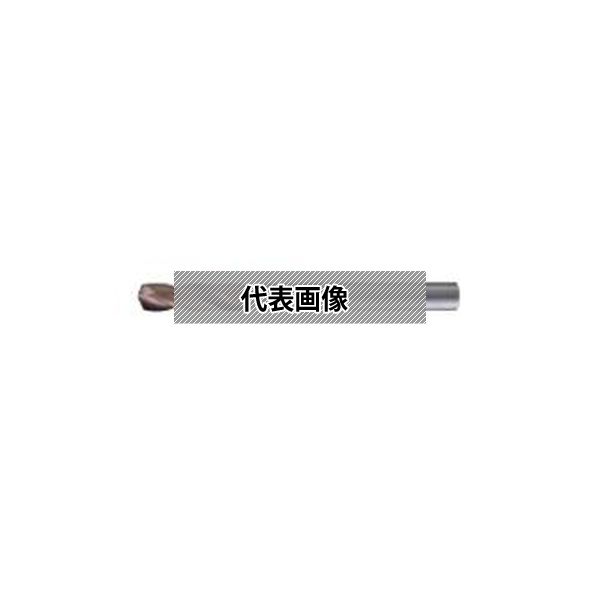 緑であること活動の領域