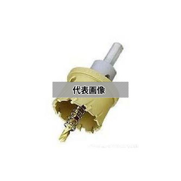 緑であること活動の領域