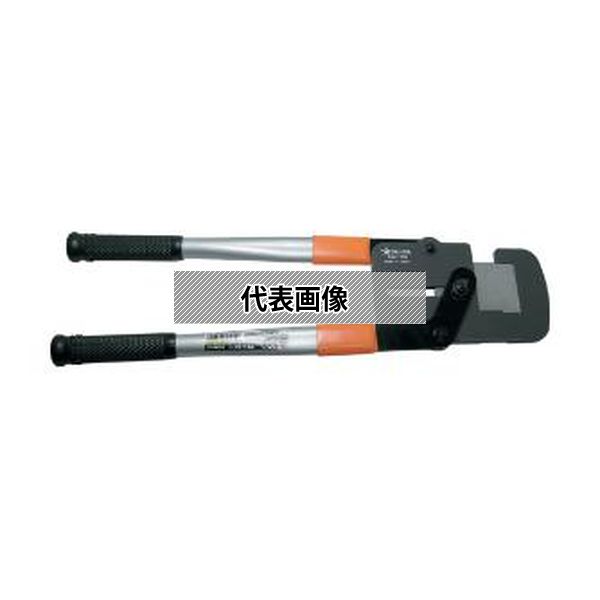 緑であること活動の領域