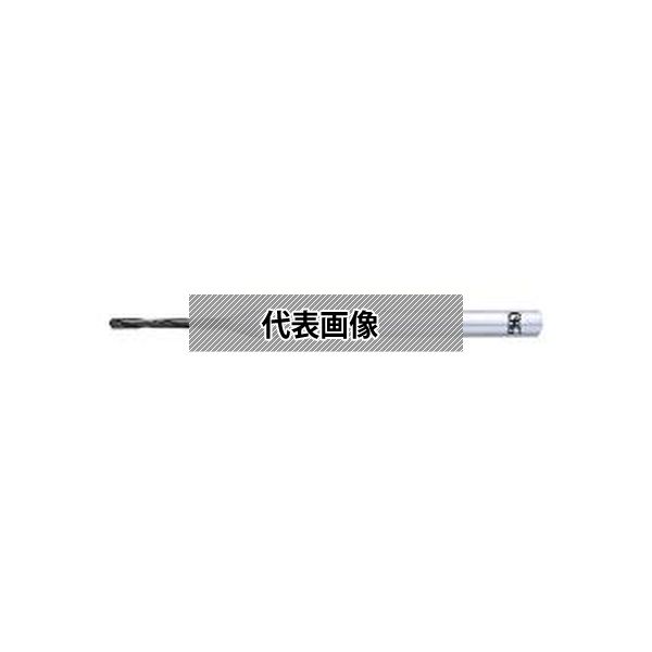緑であること活動の領域 花・ガーデン・DIY-DIY・工具-その他
