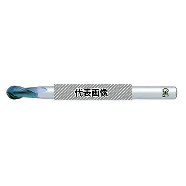 緑であること活動の領域