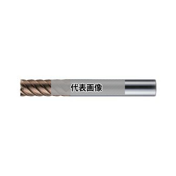(株)ＭＯＬＤＩＮＯ エポック　ハード CEPR4035-TH 7,436円