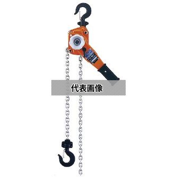 緑であること活動の領域