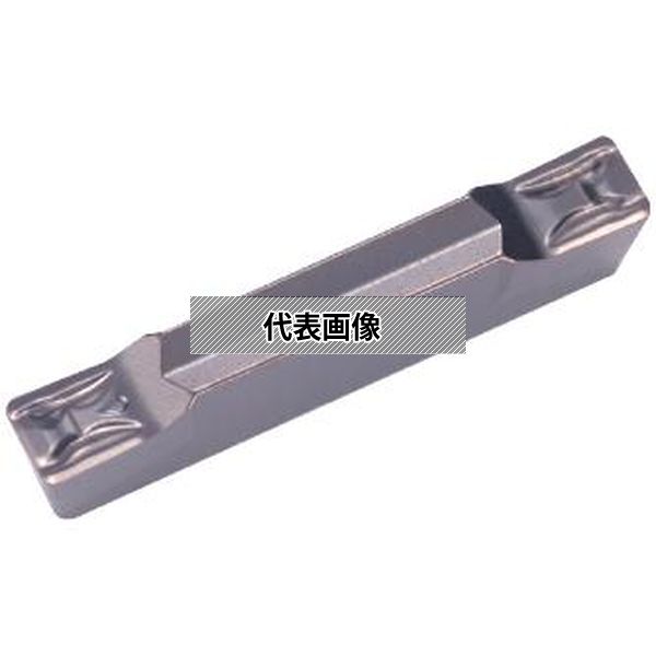 緑であること活動の領域