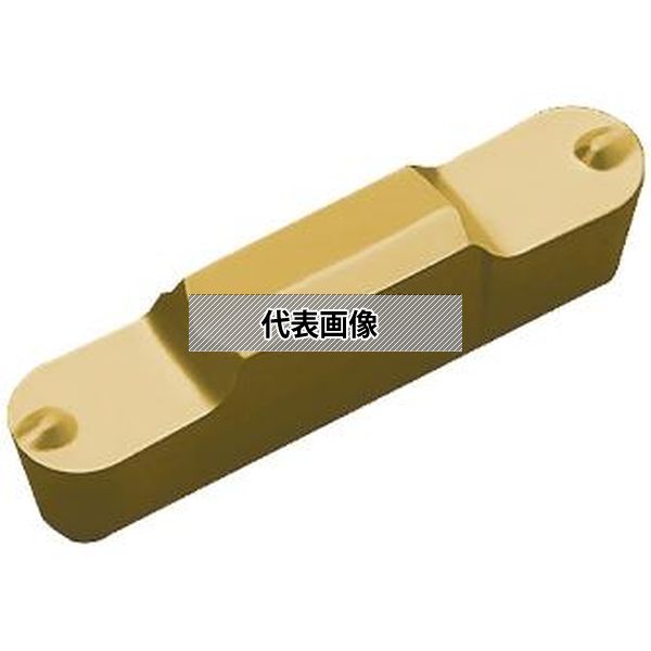 緑であること活動の領域