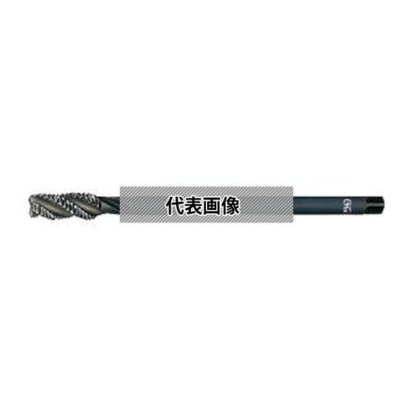 緑であること活動の領域
