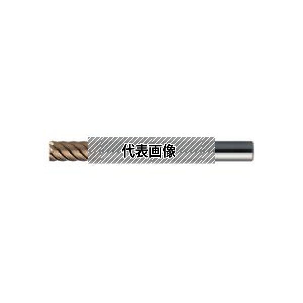 (株)ＭＯＬＤＩＮＯ エポック　ハード CEPS4010-TH