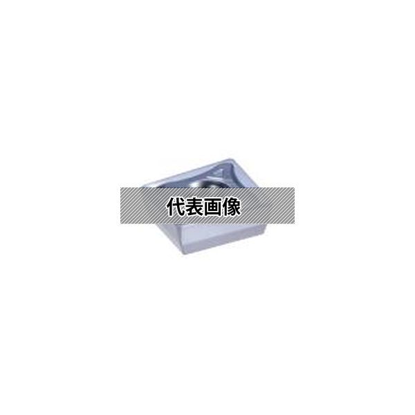 緑であること活動の領域