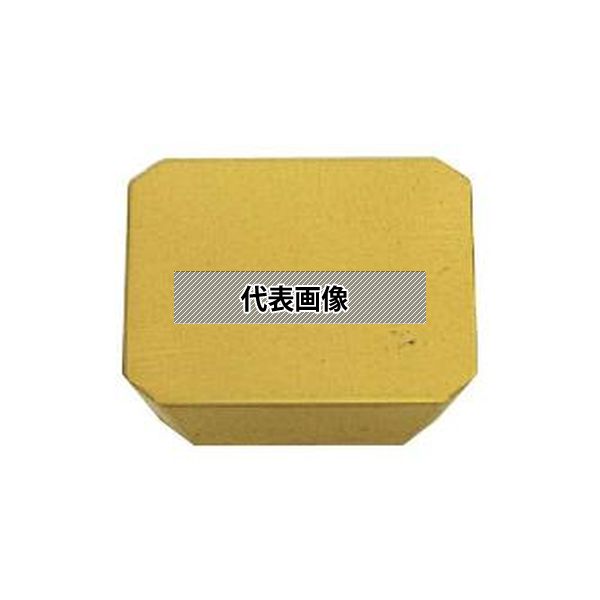 緑であること活動の領域