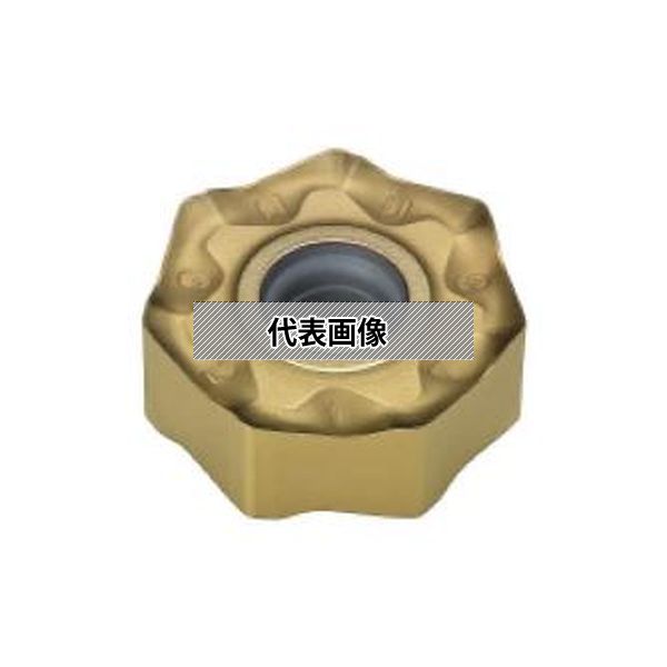 緑であること活動の領域