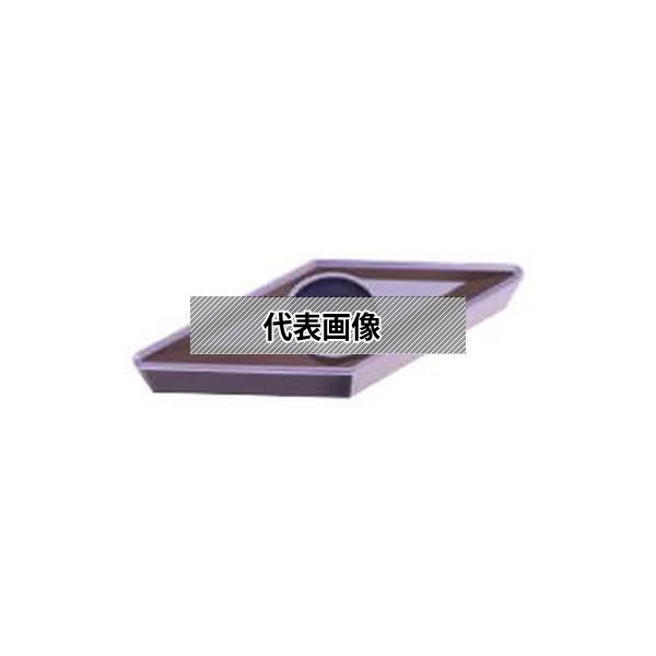 緑であること活動の領域
