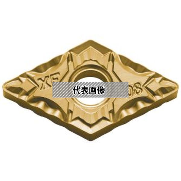 緑であること活動の領域