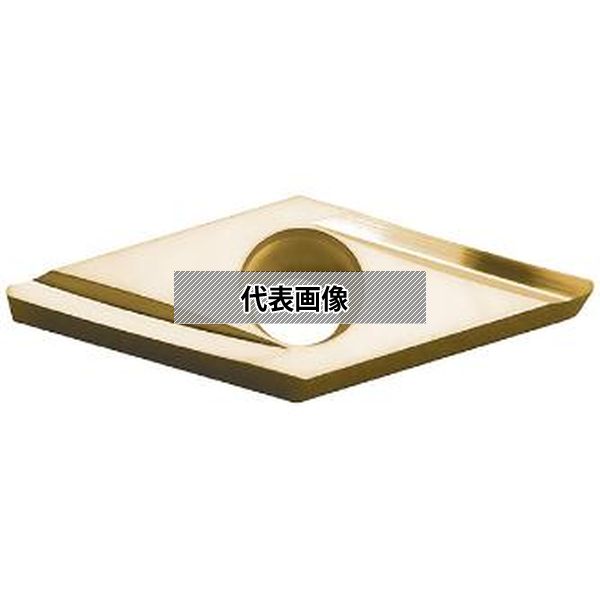 緑であること活動の領域
