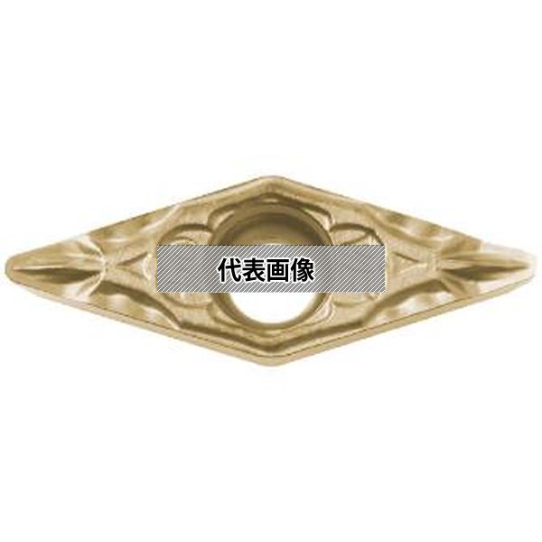 緑であること活動の領域