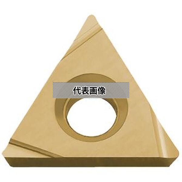 緑であること活動の領域