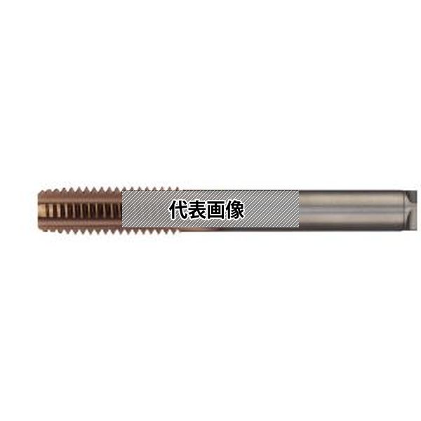 (株)MOLDINO エポックスーパハードタップ ESHT5-M6-1.0-TH
