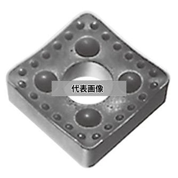 緑であること活動の領域