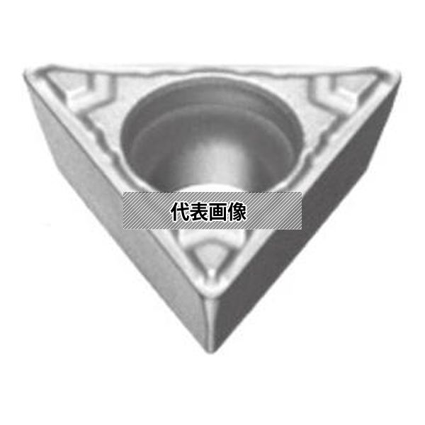 緑であること活動の領域