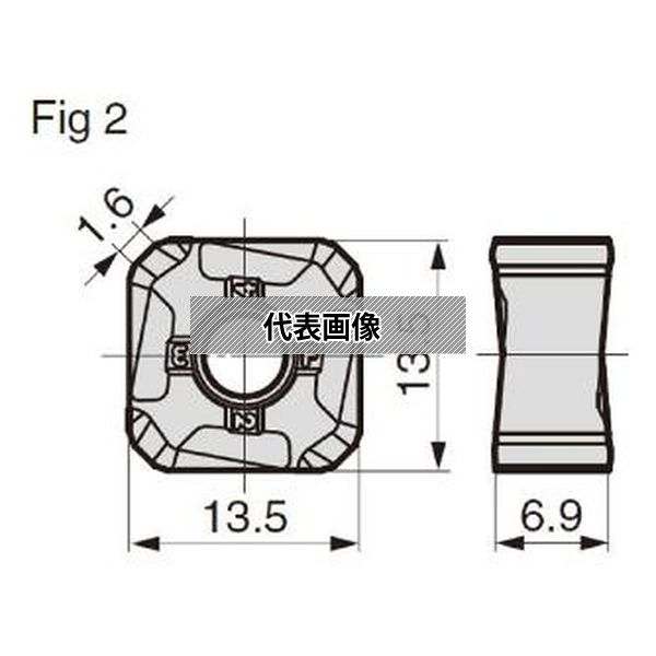 緑であること活動の領域