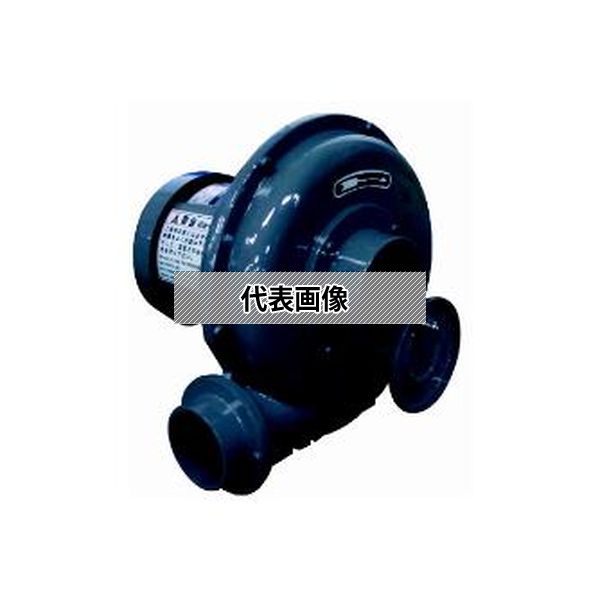 緑であること活動の領域