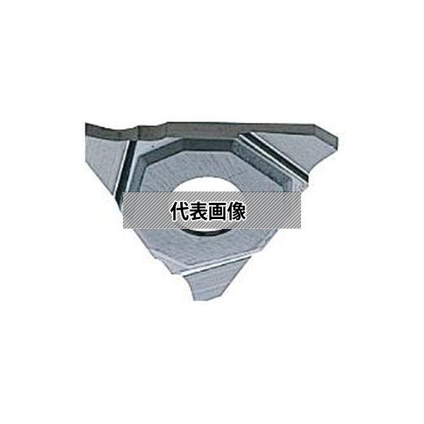 緑であること活動の領域