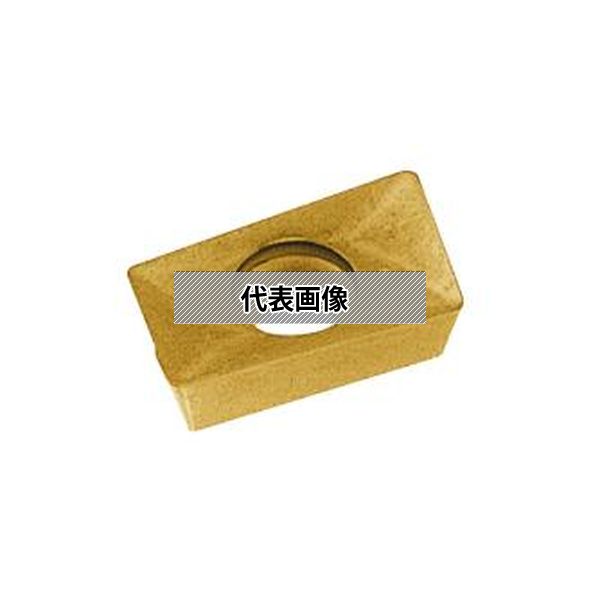 緑であること活動の領域