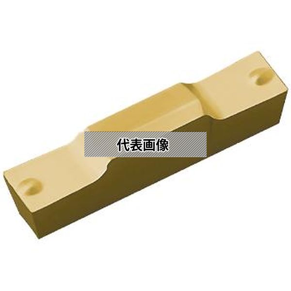 緑であること活動の領域