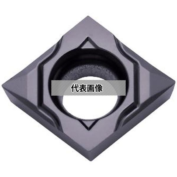 緑であること活動の領域