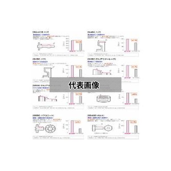 緑であること活動の領域